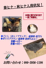 ���R�~�A�]���A�������@���܂��@�{�@���@�q�i �̔� ���̋@�@���l�̔��@����@������ �Ȃ����t�@�[���A���R�@�������@���@�{�@���@�q�i �̔��@����